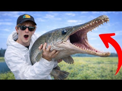 I Bought the BIGGEST Fish for my Giant Pond!
