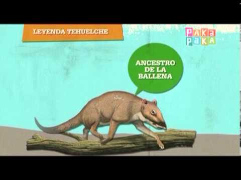 Sabías que: Sobre el antecesor de la ballena - Canal Pakapaka