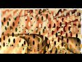 Joe Turner - Hollywood Bed (Cherry Red)