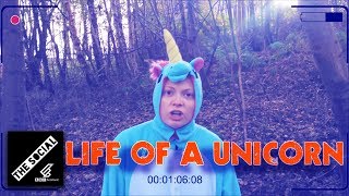 The Real Life Struggles Of A Unicorn