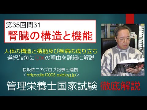 看護学科 腎臓の構造と機能35-31