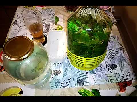 Eksperyment! - Bimber z miętą - 2-2