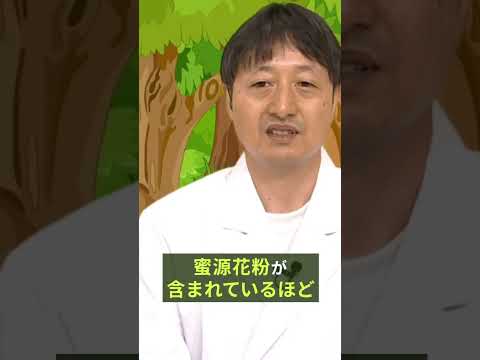 ミツバチの好きな花のリスト: 花粉媒介者を引き寄せる 20 以上の蜂蜜植物!  庭園