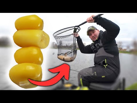 Winter Fishing with Sweetcorn! 🌽