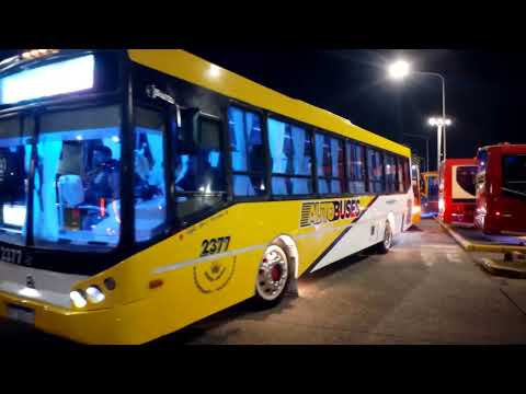 La Salida Del Grupo Autobuses Buenos Aires De La Expo Solidaria En Quilmes