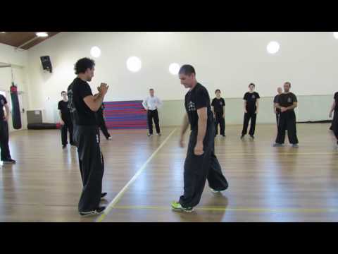 Pak Hok Pai - Fighting application of short to long distance.