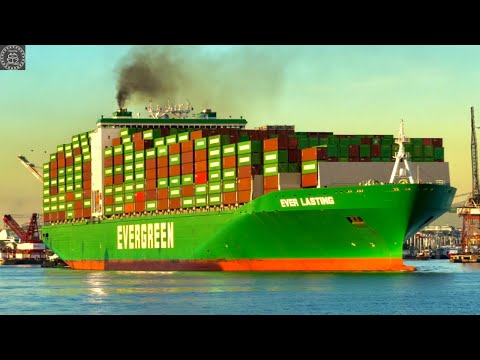4K SHIPSPOTTING LOS ANGELES LARGE CONTAINER SHIPS - December 2025