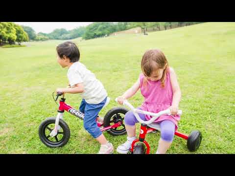 16型 幼児用自転車 D-Bike Master16AL バスケット付(ネオンピンク