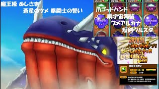 【星ドラ】魔王級 ぬしさま 蒼星のツメ 拳闘士の誓い