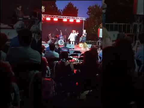 Guitarra Blues Rodrigo Castillo C.