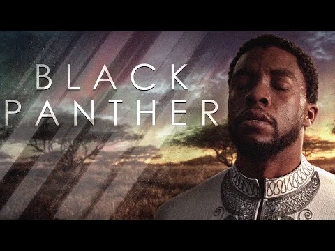 King T'Challa | The Black Panther