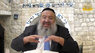 פניני הזוהר על הפרשה עם הרב רחמים נמני | פרשת כי תשא