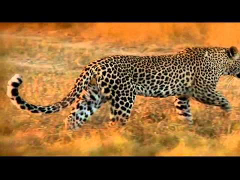 02 A Beleza da Criação Divina Estudo Bíblico Cid Moreira HD