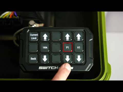 Alpha12 Digital Smart Switcher with 12-Outputs and Rollcage Mount