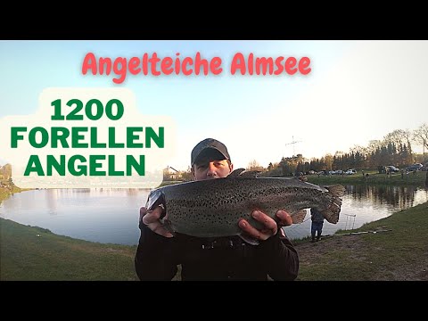 Forellenangeln mit Spoon Bienenmade Angelteich Almsee Ultralight Angeln Lachsforelle Trout Area