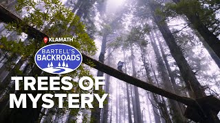 The Trees of Mystery | Bartell&#39;s Backroads