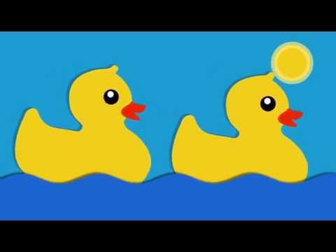 The epic journey of the plastic ducks