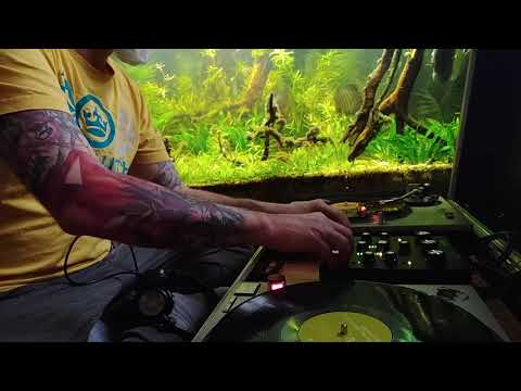 rotary dj mixer, SubZero 2