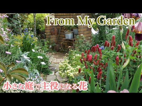 休憩所のある小さな庭 - 庭を設置するにはどうすればよいですか?  庭園