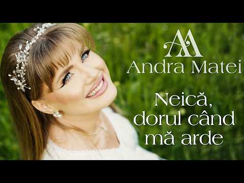 Andra Matei and PlusVideo