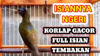 Download lagu korlap gacor full isian tembakan /korlap/ kolibri kelapa/kolibri manggar/wiceh #hummingbird #sunbird mp3 Download lagu korlap gacor full isian tembakan /korlap/ kolibri kelapa/kolibri manggar/wiceh #hummingbird #sunbird mp3