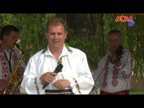 IOAN DORDOI - Colaj Live festivalul Achim Nica.