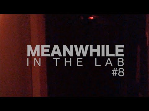 WERMONSTER - Meanwhile in the lab #8