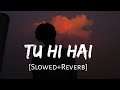 Tu Hi Hai [Slowed+Reverb] Rahul Mishra | Half Girlfriend | Sad Song | Alone  Lofi| Music lovers
