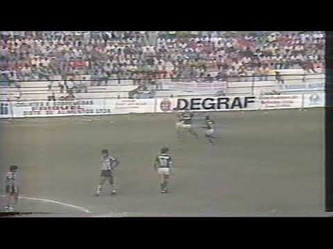 Operário-PR 1 x 6 Palmeiras - Amistoso 1988