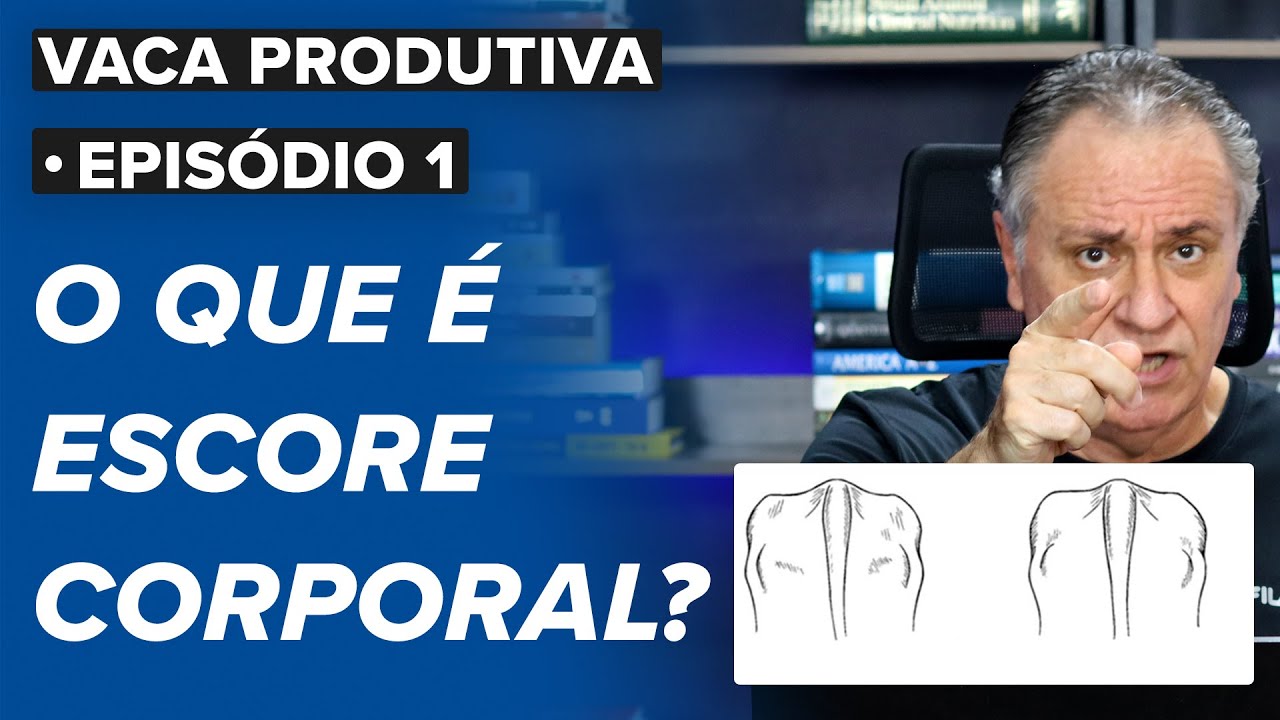 O que é escore corporal de vacas? - Vaca produtiva Ep.1