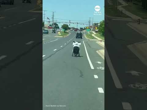 Wheelchair spotted cruising down the street in Baltimore suburb