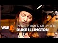 Fay Claassen feat. by WDR BIG BAND - In A Sentimental Mood