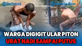Download lagu Tarik Ular Piton 5 Meter Dari Gorong-Gorong, Urat Nadi Warga Tuban Malah Tergigit Sampai Putus mp3 Download lagu Tarik Ular Piton 5 Meter Dari Gorong-Gorong, Urat Nadi Warga Tuban Malah Tergigit Sampai Putus mp3