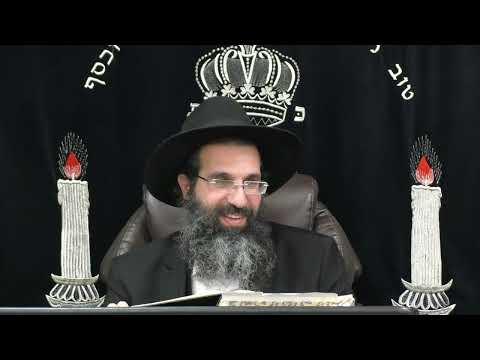 הלכות דם - א' 🩸 יורה דעה - סימן סה - סו | חלק 17 | הרב שי עובד
