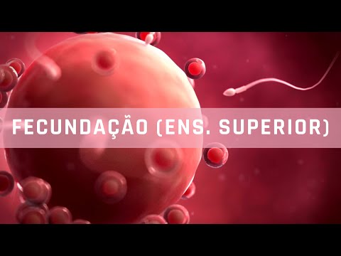 Aulinha básica sobre fecundação