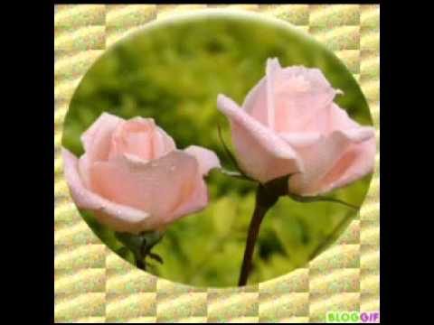 OLYMPIC -Kyvadlo času.mpg