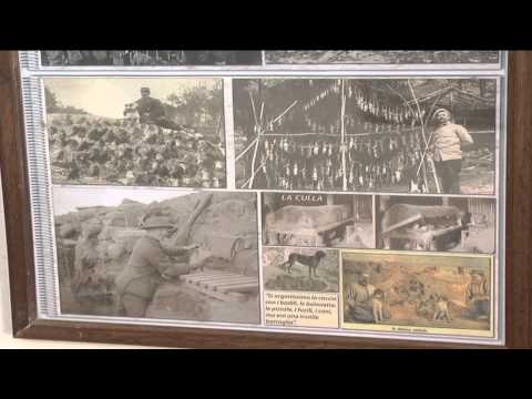 ONDA TG 02.06.2015 - MOSTRA 1 GUERRA MONDIALE