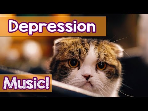 How To Make My Cat Stop Crying? 15 Hours Music ... - YouTube