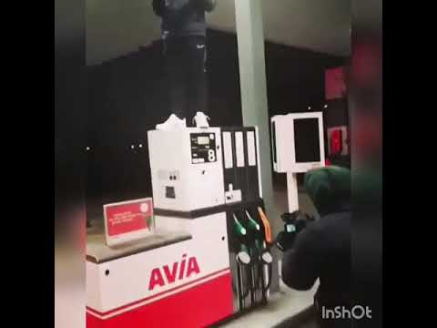 Neeks  73 De pijp& louiVos