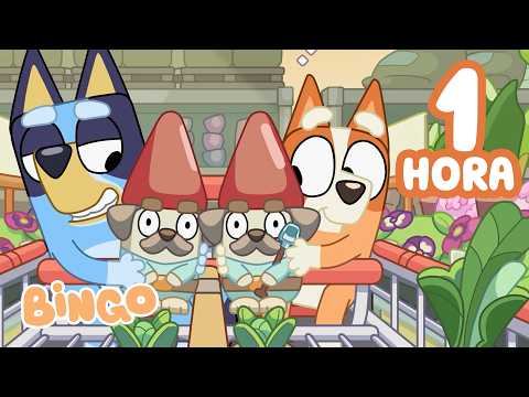 Cómo hacer un mini jardín 🏡🪴 | Sé creativo con Bluey | Bingo - Español Canal Oficial