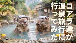 【Vlog】コアラ達が温泉旅行に行ってみた♨️🐨