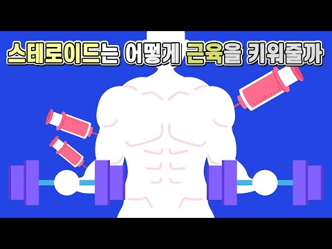 마법의 약물 근육을 키워주는 스테로이드에 대해