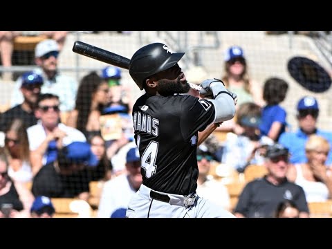 Bryan Ramos 2024 Minor League Highlights!