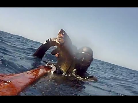 Pesca in apnea - Una corvina di 2,2 Kg in Corsica con Enrico Mirtillo - Chasse Corb Spearfishing