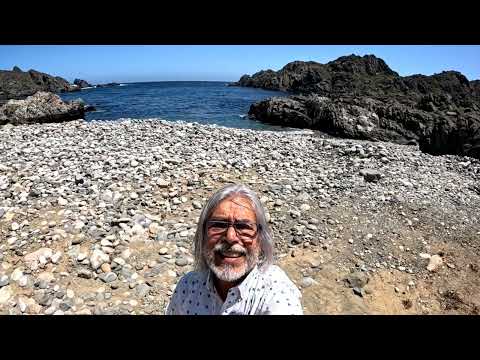 Quebrada y desierto florido en Vallenar