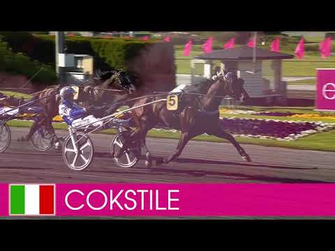 Välkommen till Elitloppet 2021 - Cokstile!