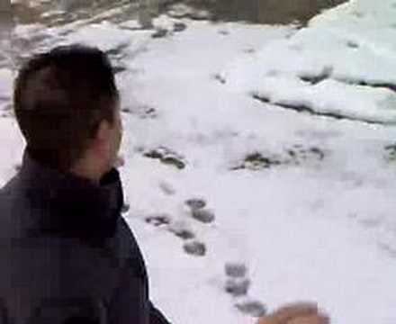 Neve a Palo del Colle