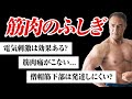 【筋トレ】99%の人が知らない!?あらゆる筋肉の疑問について徹底的に解説します
