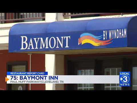 Inspectors find bed bugs, flies, week-old slaw, and discard 90 ...
