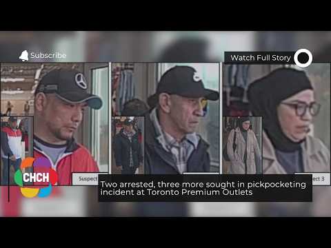 Two arrested, three more sought in pickpocketing incident at Toronto Premium Outlets